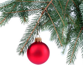 Festive Season Opening Times